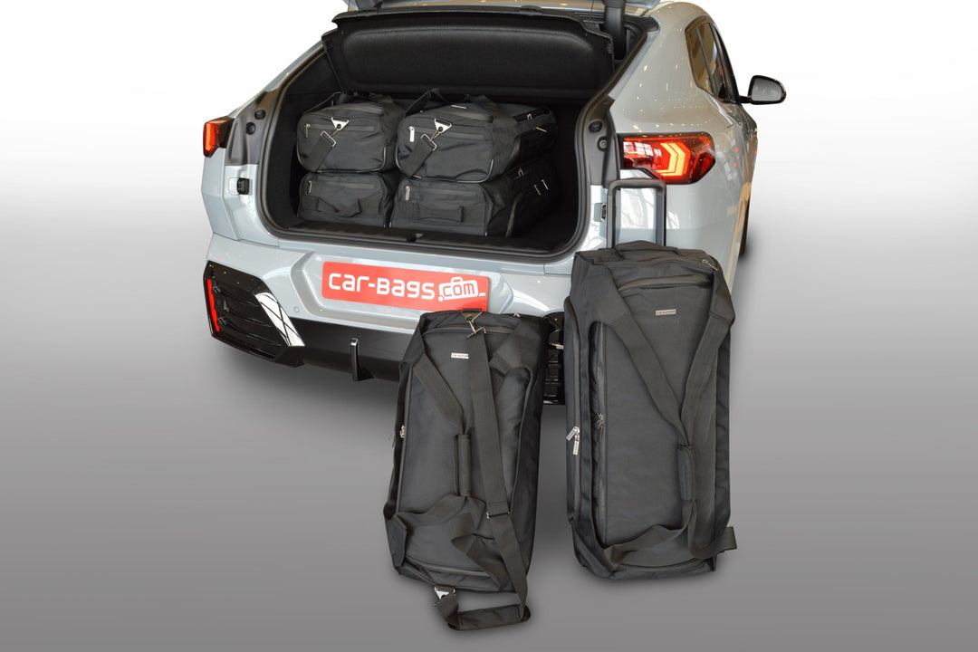 Car-Bags Travel bag