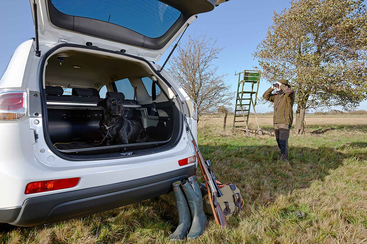 Carbox Classic in Kofferraum mit Jagdzubehör und Jagdhund vor einem Hochsitz