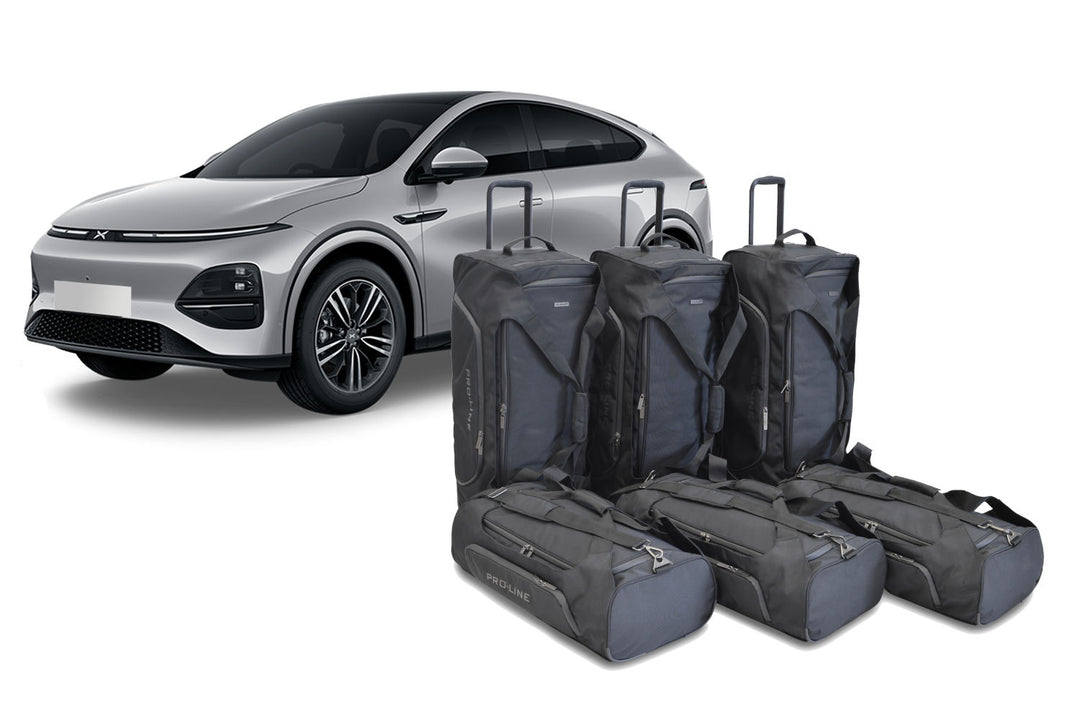 Car-Bags Travel bag